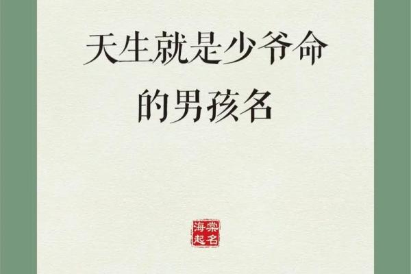 为木命男孩起名的艺术与智慧，传统与现代的碰撞