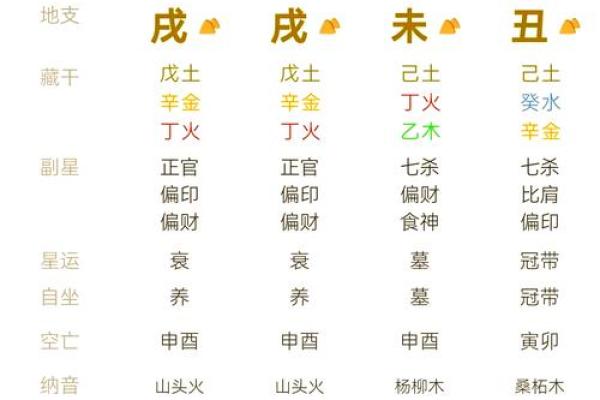 水命女人与其最佳命格的完美搭配指南
