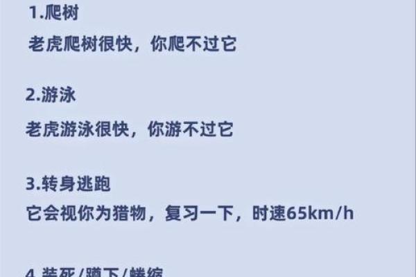 探索虎男命理：揭示他们缺失的能量与发展潜力