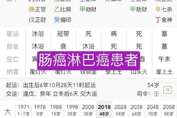 辛亥伤官男命：解读命理之路的艰辛与机遇