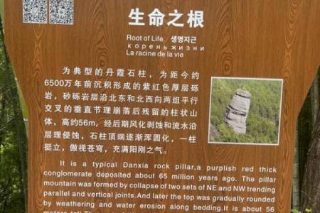 探秘学命理学：揭开生命背后的神秘面纱