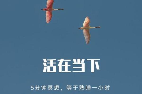 四月初二出生的命运解析：细数人生的奇妙旅程