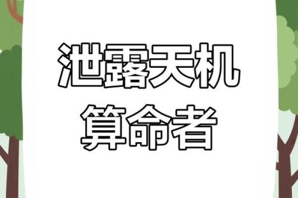 探秘算卦文化中的童命：命运的启示与指引