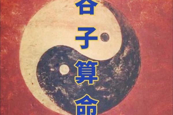 虚岁30属什么？解读生肖命理与人生智慧！