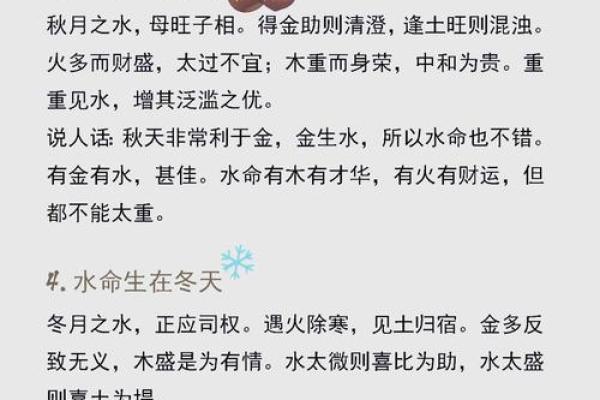 水命人与木命结合的和谐美好生活探讨
