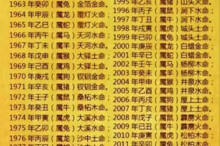 水命与木命：完美相生的宝宝命理解析