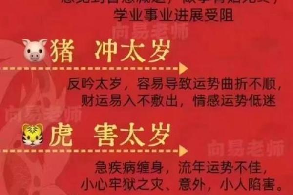 探索东四命：什么属相最具优势？解读人生的秘密！