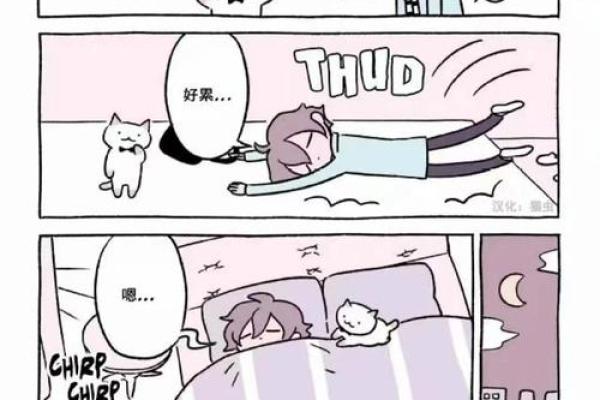为什么九命猫只有两条命？探索猫咪的奇妙传说与科学原理