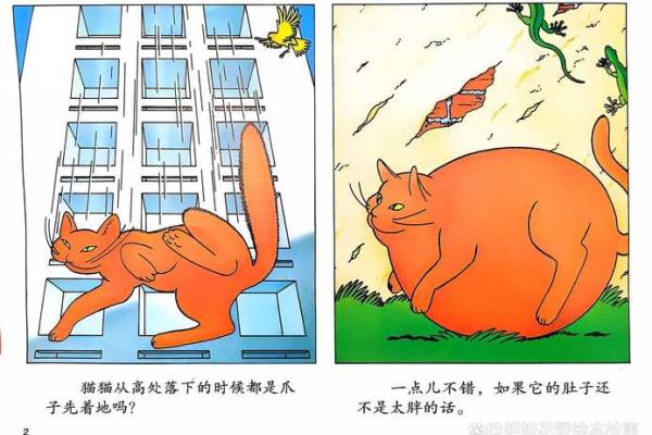 为什么九命猫只有两条命？探索猫咪的奇妙传说与科学原理