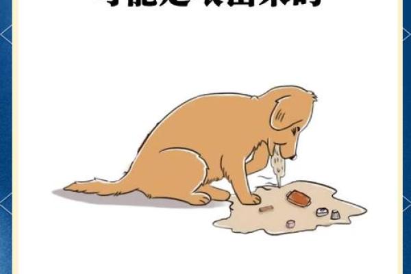 相依为命的狗狗：选择适合它们的健康饮食指南
