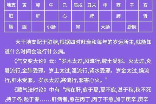 水命土命的奥秘：五行之间的深厚联系与人生智慧