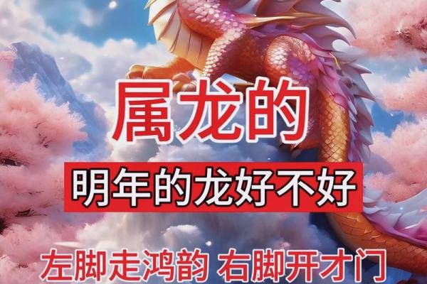 一二年出生的龙：命运与个性的奇妙探讨