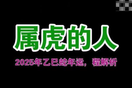一九八六年虎命：解析属虎之人的命理特点与生活智慧