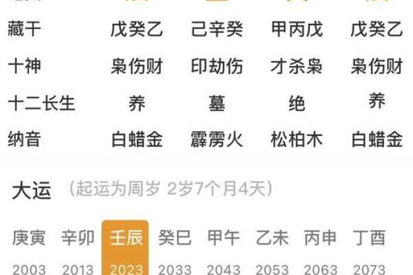 探究己未大运对命局的深远影响，如何助你把握人生机遇