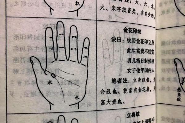 探究女人右手掌纹：看掌纹乱象揭示的命运秘密
