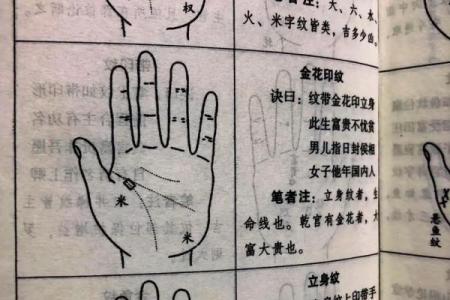 探究女人右手掌纹：看掌纹乱象揭示的命运秘密