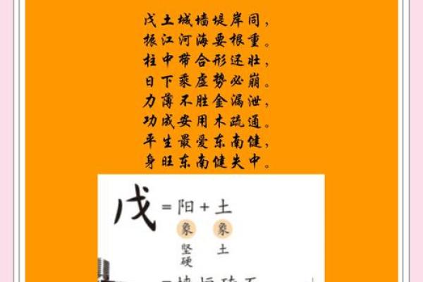 戊土命的命理解析与生活智慧：如何在土的能量中成长