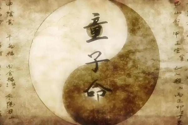 探秘童子命：天罗地网背后的神秘人生旅程