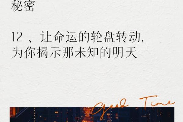 探秘“射命”——这不仅仅是一个词，更是生存与命运的交织