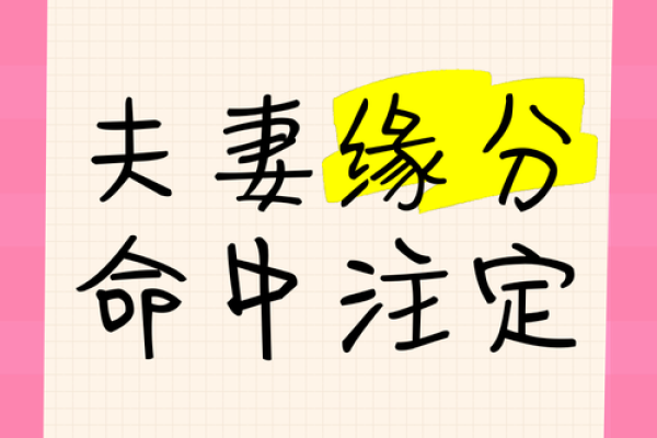 寻找木命命主的幸福：如何选择命中注定的伴侣