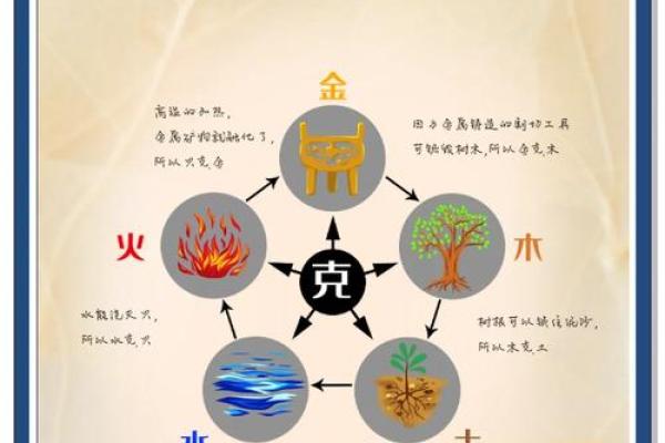 探寻五行之美：木命与水命的和谐交融
