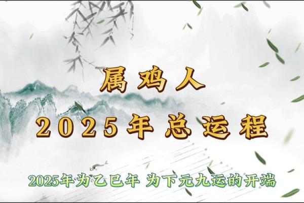 辛酉年属鸡，五行之命：解密你的命运与运势