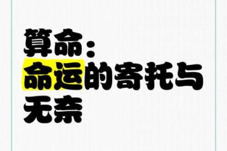 算命的奥秘：揭开命运与人生的神秘面纱