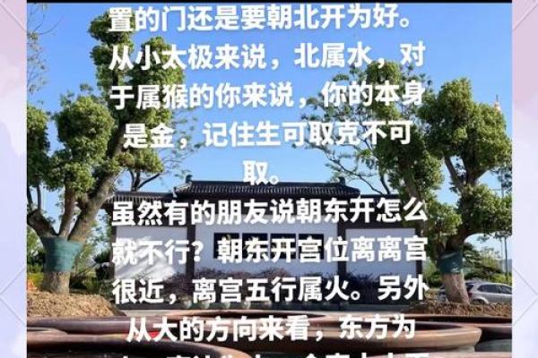 属猪申时猴林中游玩，探寻命理奥秘与人生哲理