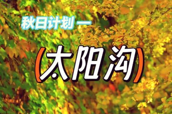 探秘：太阳火命与水命的相生相克关系