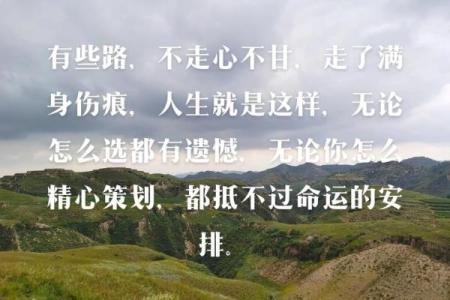 探秘：十三岁属虎的命运与人生轨迹