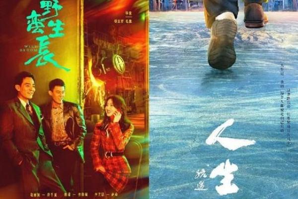 为什么大哥的命很苦啊：背后的故事与奋斗历程