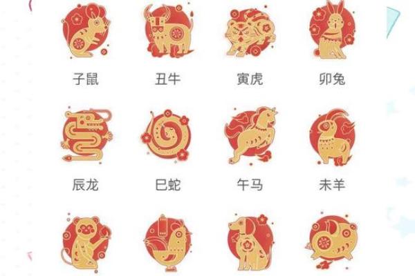 探秘“越老越好”的生肖：揭示岁月的智慧与魅力