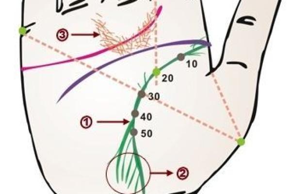 算命最幸运的时机：从命理学看人生的璀璨瞬间