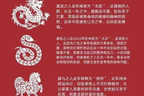 水命走金运：揭示财富与命理的神秘关系