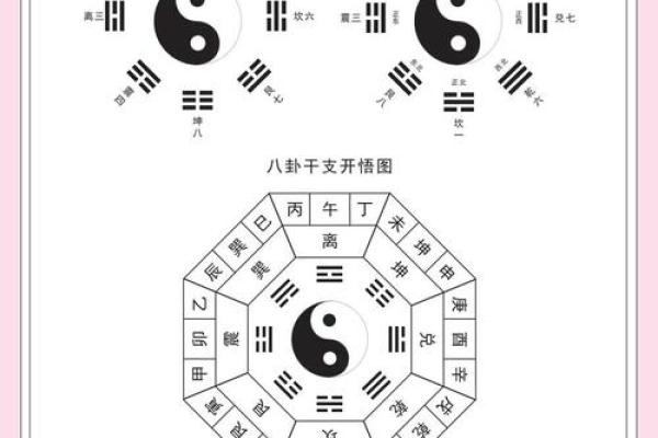 探秘乙木命局：如何领悟与应用八字智慧